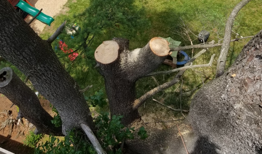 J&A Brothers Tree Service & Landscaping