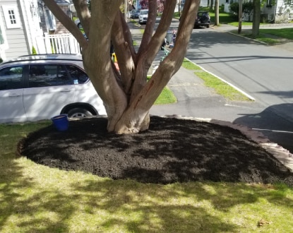 MULCHING